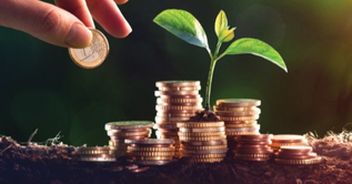 SustainableInvesting-cropped@2x - FR-1